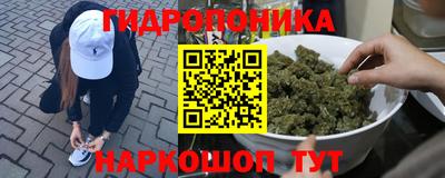 дмт Пушкино