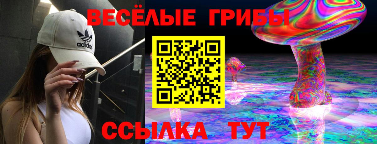 Россия  Псилоцибиновые грибы Psilocybine cubensis  Вход с VPN 